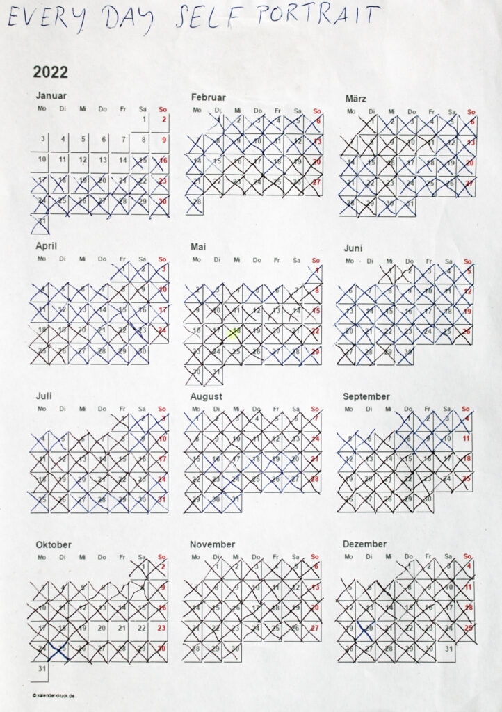 Tage im Jahreskalender getrackt, in denen ich selbstdiszipliniert war